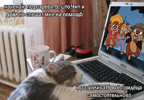 Кот ждёт помощи от Чипа и Дейла