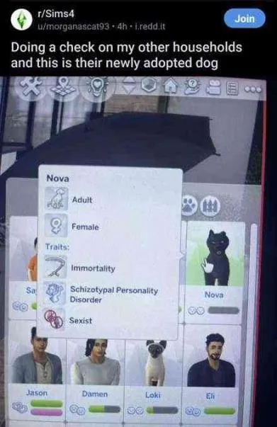 Newly Adopted Dog in The Sims