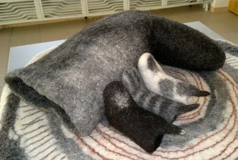 Кот спрятался под одеялом