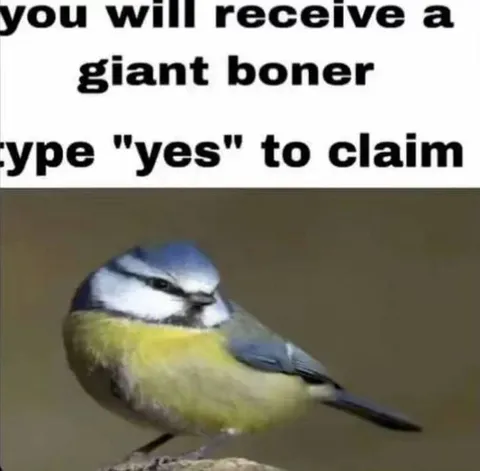 Giant Boner Bird Bait