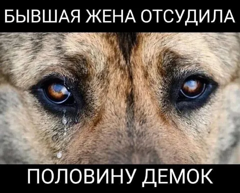 Бывшая жена отсудила половину демоек