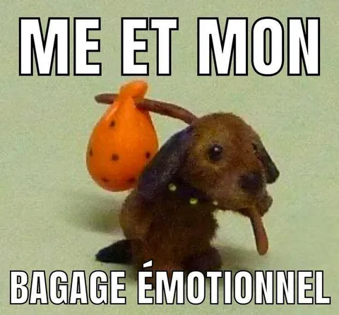 Moi et mon bagage émotionnel