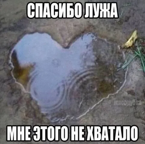 Спасибо, лужа, мне этого не хватало