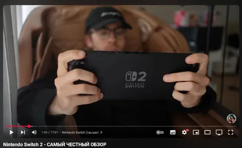 Садовый гном с Nintendo Switch 2