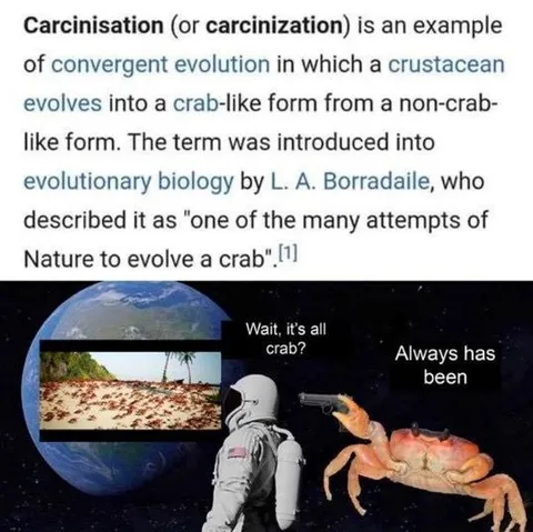 Everything Evolves Into Crabs