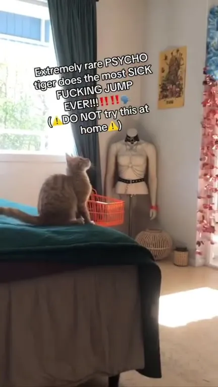 Psycho Tiger's Sick Jump