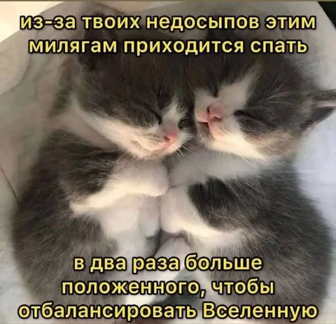 Котята компенсируют недосып
