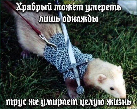 Храбрый умирает лишь однажды