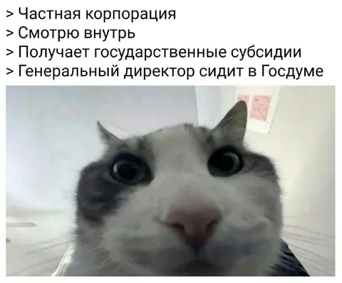 Частная корпорация в Госдуме