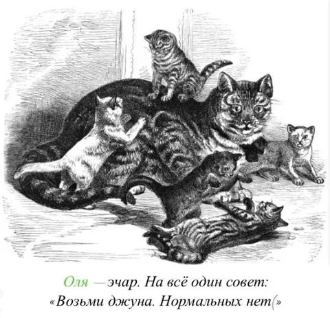 Возьми джуна, нормальных нет
