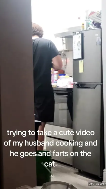 Husband Farts on the Cat