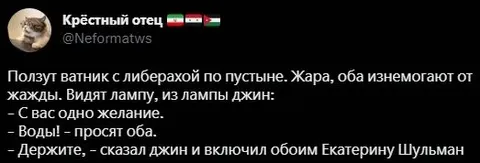 Джин включил Екатерину Шульман