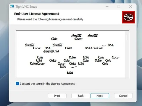 Coca-Cola License Agreement