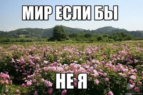 Мир, если бы не я