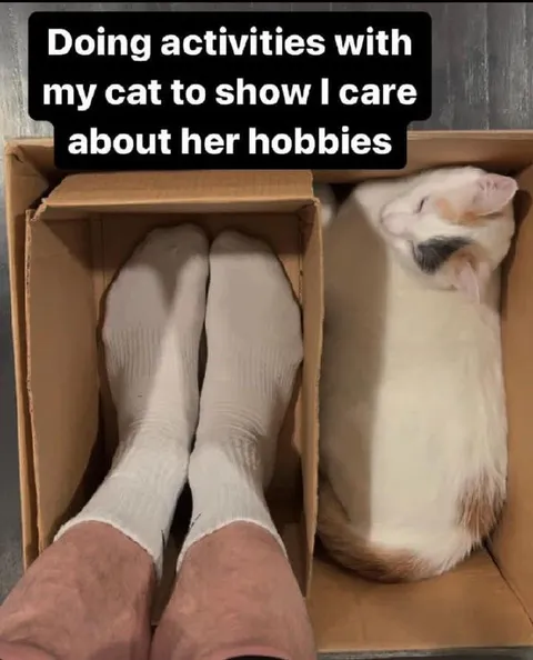 Doing Hobbies With My Cat