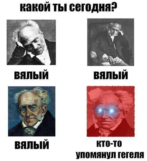 Какой ты сегодня: Шопенгауэр