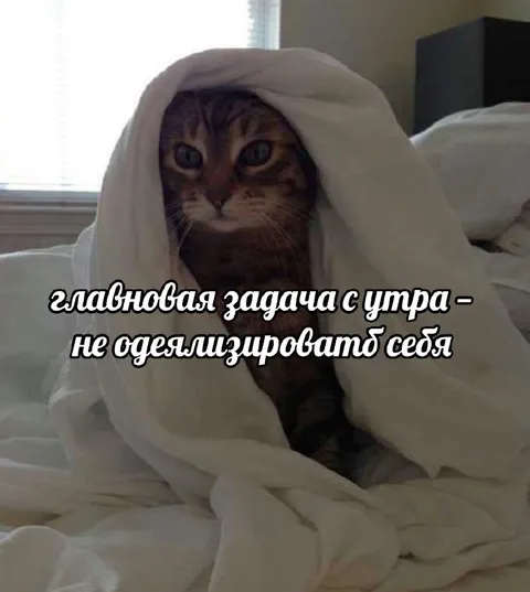 Главновая задача с утра