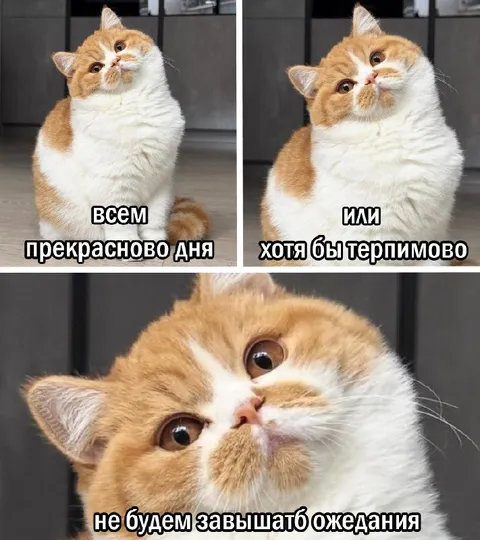 Прекрасново дня