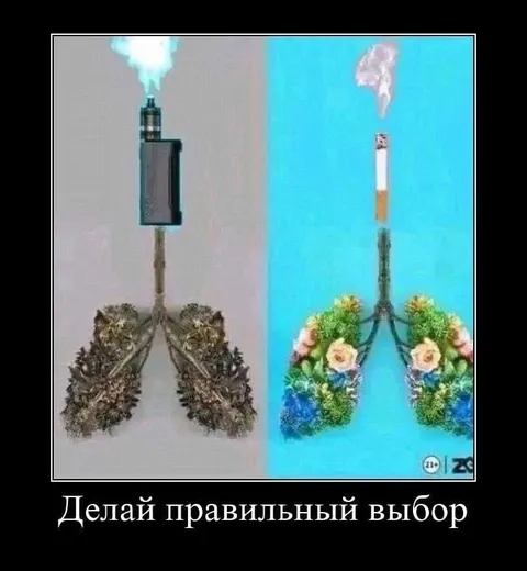 Делай правильный выбор