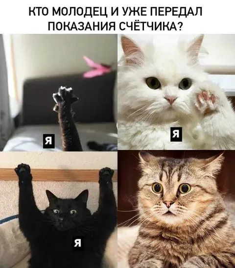 Кто уже передал показания счётчика