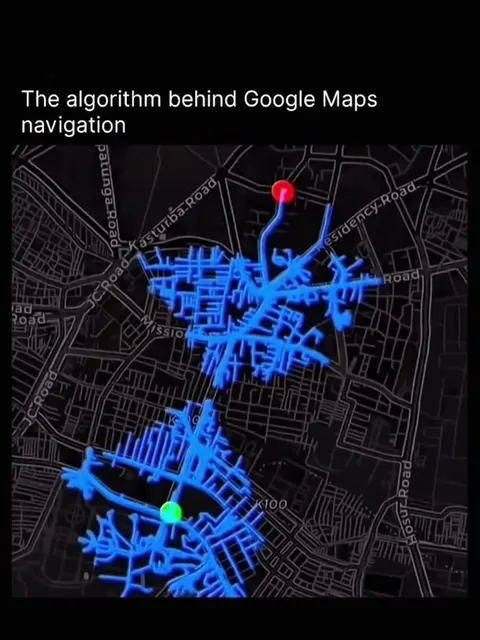 Google Maps Algorithm Chicken