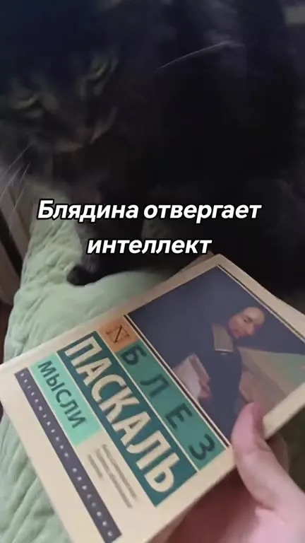 Кот отвергает мысли Паскаля