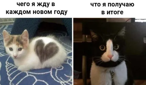 Ожидание и реальность Нового года