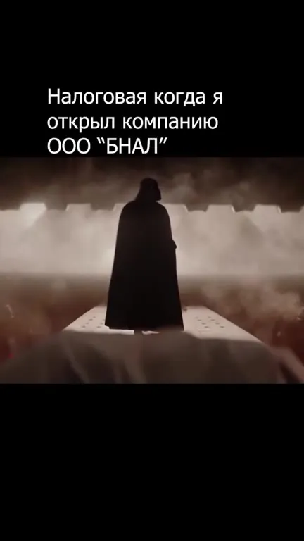 Налоговая после открытия ООО «БНАЛ»