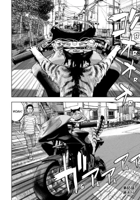 バイクを運転する猫