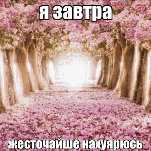 Я завтра жесточайше нахуюсь