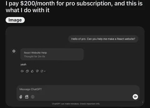 Paying $200 for Pro