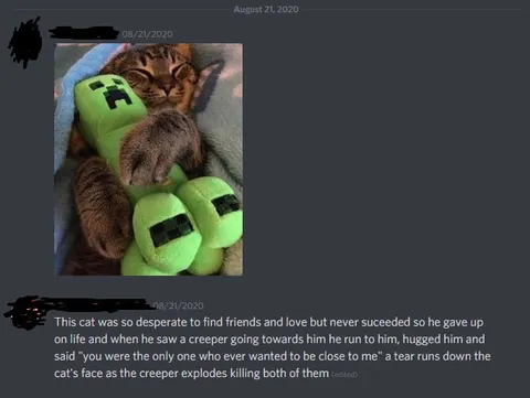Cat Hugs Creeper Before Exploding