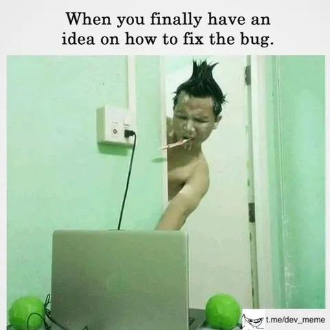 Finally Fixing the Bug