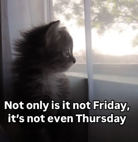 Not Even Thursday Yet