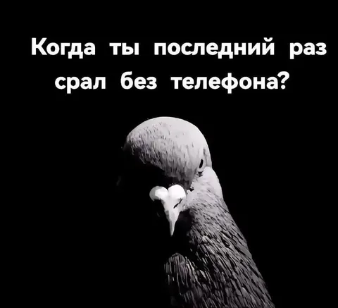 Последний раз без телефона