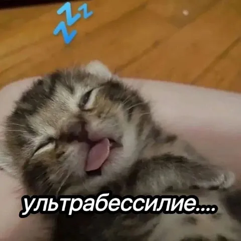 Кот в состоянии ультрабессилия