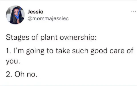 Stages of Plant Ownership