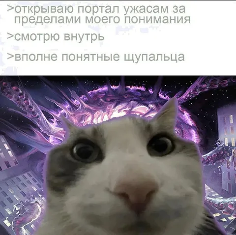 Кот смотрит в портал ужасов