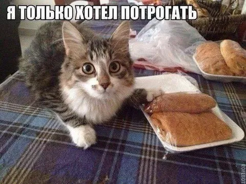 Я только хотел потрогать