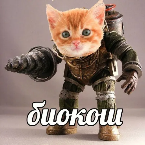 Котик с дрелью