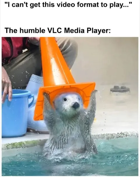 Humble VLC Media Player Otter
