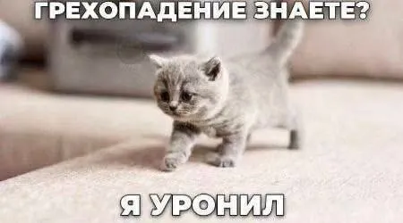Я уронил грехопадение