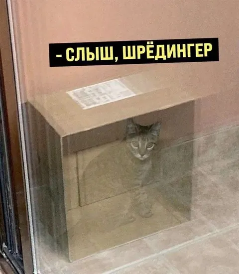 Кот Шрёдингера в коробке