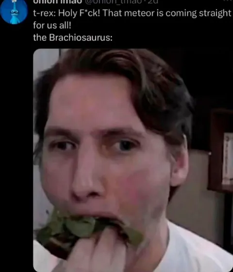 Brachiosaurus Eating During Meteor