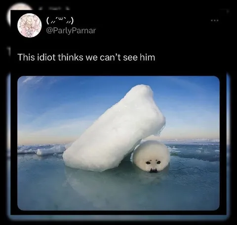 Idiot Hiding Under Ice