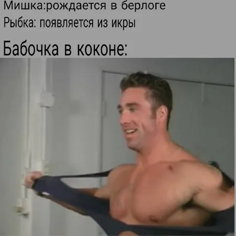 Бабочка вылупляется из кокона