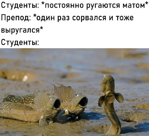Студенты услышали мат преподавателя