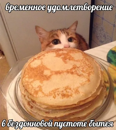 Кот и блины в пустоте бытия