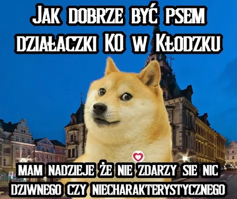 Jak dobrze być psem w Kłodzku