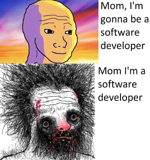 Software Developer Career Progression
